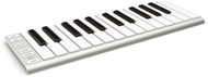 ESI Xkey 25 - MIDI-Keyboard