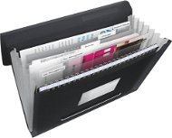 ESSELTE VIVIDA A4 with compartments, black - Document Folders