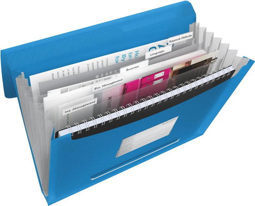 ESSELTE VIVIDA A4 with compartments, blue - Document Folder - Main image