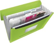 ESSELTE VIVIDA A4 with compartments, green - Document Folders