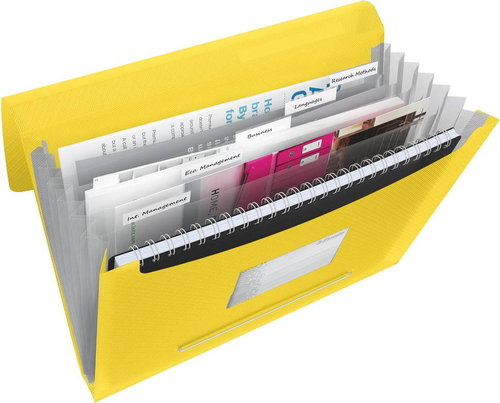 ESSELTE VIVIDA A4 with compartments, yellow - Document Folder - Main image