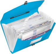 ESSELTE Vivida with compartments and clasp, blue - Document Folders