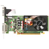 LEADTEK WinFast GT220 1GB DDR2 - Graphics Card