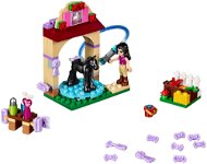 LEGO Friends 41123 Waschhäuschen für Emmas Fohlen - Bausatz