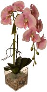 EverGreen® Orchid in Glass with Acrylic, Height of 56cm, Pink Colour - Artificial Flower