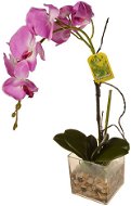 EverGreen® Orchid in Glass with Acrylic, Height of 56cm, Colour of Purple - Artificial Flower