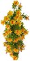 EverGreen Hibiscus Plastic x 5, Height of 40cm, Colour Yellow - Artificial Flower