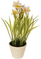 EverGreen Daffodil in a Pot, Height of 22cm, White Colour - Artificial Flower