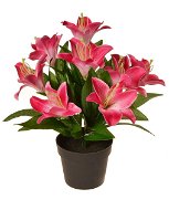 EverGreen Lily in a Pot, Height of 30cm, Pink Colour - Artificial Flower