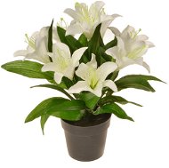 EverGreen Lily in a Pot, Height of 30cm, White Colour - Artificial Flower