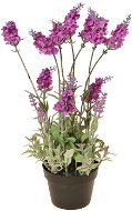 EverGreen Lavender 16 Flowers in a Pot, Height of 38cm, Crimson Colour - Artificial Flower