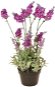 EverGreen Lavender 16 Flowers in a Pot, Height of 38cm, Crimson Colour - Artificial Flower