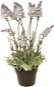 EverGreen Lavender 16 Flowers in a Pot, Height of 38cm, White Colour - Artificial Flower