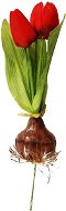 EverGreen Tulip with Bulb, Height of 25cm, Colour Red - Artificial Flower
