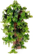 EverGreen® Philo - Artificial Hanging Plant, 5 Shoots, Suitable For Outdoor Use, Height of 40cm - Artificial Flower