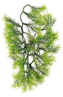 EverGreen® Asparagus Hanging, 5 Shoots, also Suitable for Exterior, Height of 40cm, Colour of Green - Artificial Flower
