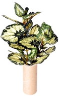 EverGreen® Begonia - Artificial Plant, 3 Shoots, Height of 45cm, Colour of Green-white - Artificial Flower