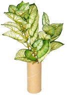 EverGreen® Caladium - Artificial Plant, 3 Shoots, Height of 45cm, Colour of Green-yellow - Artificial Flower