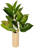 EverGreen® Ficus Elastica - Artificial Plant, 3 Shoots, Height of 45cm, Colour of Green - Artificial Flower