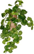 EverGreen® Mini-leaf Hanging Decorative Artificial Plant - Begonia, height of 40cm, colour of green - Artificial Flower