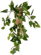 EverGreen® Mini-leaf Hanging Decorative Artificial Plant - Philo, Height of 40cm, Green Colour - Artificial Flower