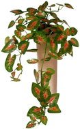 EverGreen® Mini-leaf Hanging Decorative Artificial Plant - Caladium, height of 40cm, colour of Green-Red - Artificial Flower