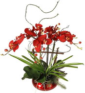 EverGreen® Orchidea Arrangement EXCLUSIVE, Very Faithful Design, Red Ceramic Flowerpot with High - Artificial Flower