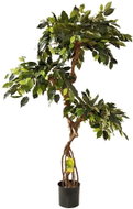EverGreen® Ficus Tree EXCLUSIVE, Decorative Wooden Twisted Trunk, Height of 140cm, Colour of Green - Artificial Flower