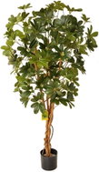 EverGreen® Schefflera Tree EXCLUSIVE, Decorative Wooden Braided Trunk, Height of 140cm, Colour of Green - Artificial Flower