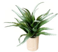 EverGreen® Aloe - Artificial Plant, Height of 30cm, Colour of Silver-green - Artificial Flower