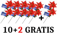 EverGreen set® Poinsetia x 1, height 45 cm, Set 11+1 Gratis - Christmas Decoration