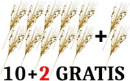 EverGreen set® Foil grass with stars h. 45 cm - Set 10+2 Gratis - Artificial Flower