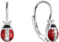 EVOLUTION GROUP 11534.1 crystal zircon ag náušnice (AG 925 / 1000; 1 g) - Náušnice