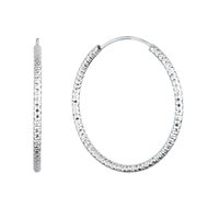 EVOLUTION GROUP 61006 AG earrings circles (AG 925/1000; 2 g) - Earrings