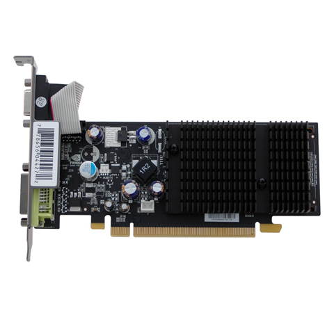 XFX NVIDIA GeForce 8400GS  - - - Hauptbild