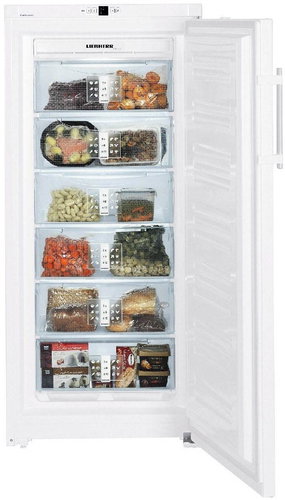 LIEBHERR GN 3113 - Upright Freezer - Main image