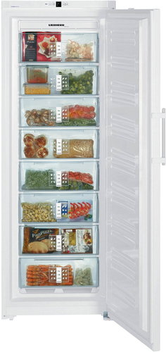 LIEBHERR GN 4113 - Upright Freezer - Main image