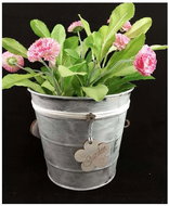 Falixen - Flower Pot - 3(15cm) - Flower Pot