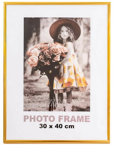 FANDY Photo Frame – Simple 2 Plastic Frame 30 × 40 4, gold - Photo Frame - Main image