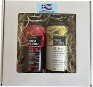 Farcom Šampon gr. jablkopro barevné vlasy 300 ml + Olivový sprchový gel 300 ml - Cosmetic Gift Set