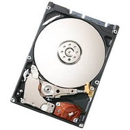 Hitachi 2.5" Travelstar 320GB - Hard Drive