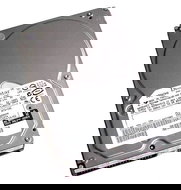 Pevný disk 3,5" Hitachi (IBM) Deskstar T7K500 - Hard Drive