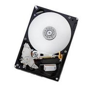 Hitachi Deskstar T7K1000 160GB - Hard Drive