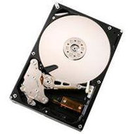 Hitachi (IBM) Deskstar T7K1000 640GB 16MB - Hard Drive