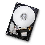 Hitachi (IBM) Deskstar 7K1000 1TB SATA3G 16MB - Hard Drive