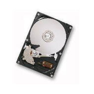 Hitachi (IBM) Deskstar P7K500 - Hard Drive