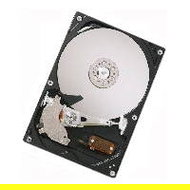 Hitachi Deskstar P7K501 500GB - Hard Drive