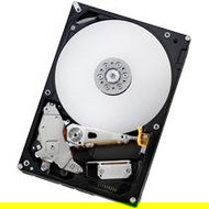 Hitachi (IBM) Deskstar E7K1000 500GB SATA II 32MB - Hard Drive