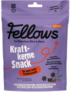 Fellows Insect functional treats to provide energy during training Kraftkerne 125 g - Dog Treats