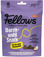 Fellows Insect functional treats for good digestion Darmwohl 125 g - Dog Treats